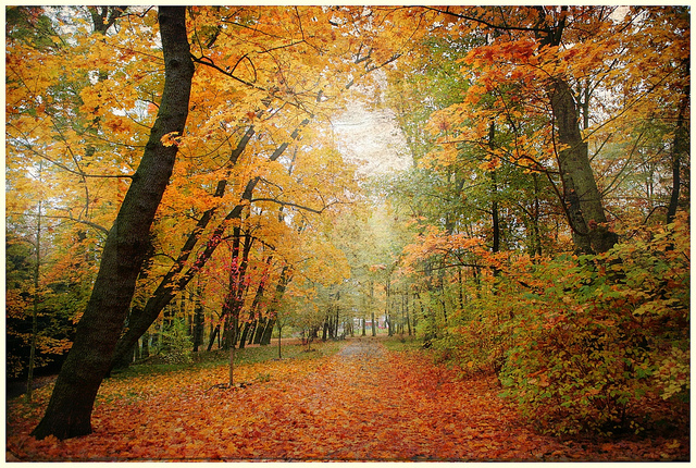 8129178678_2556a62d4d_z