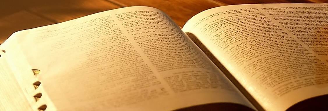 10633913_10205592940249096_2882065075428279412_o